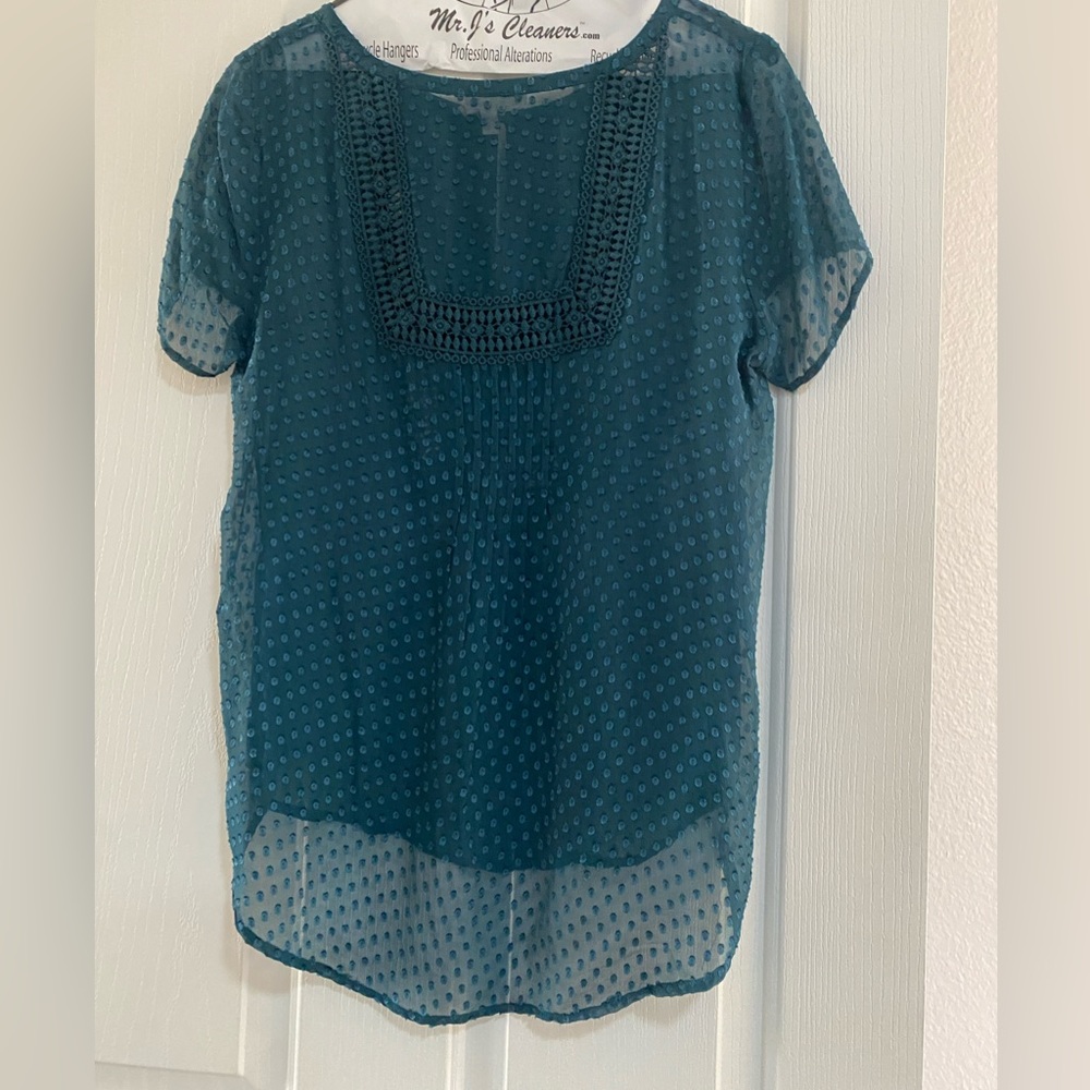 Anthropologie Meadow Rue Silk Grasslands Sheer Swiss Dot Short Sleeve Blouse